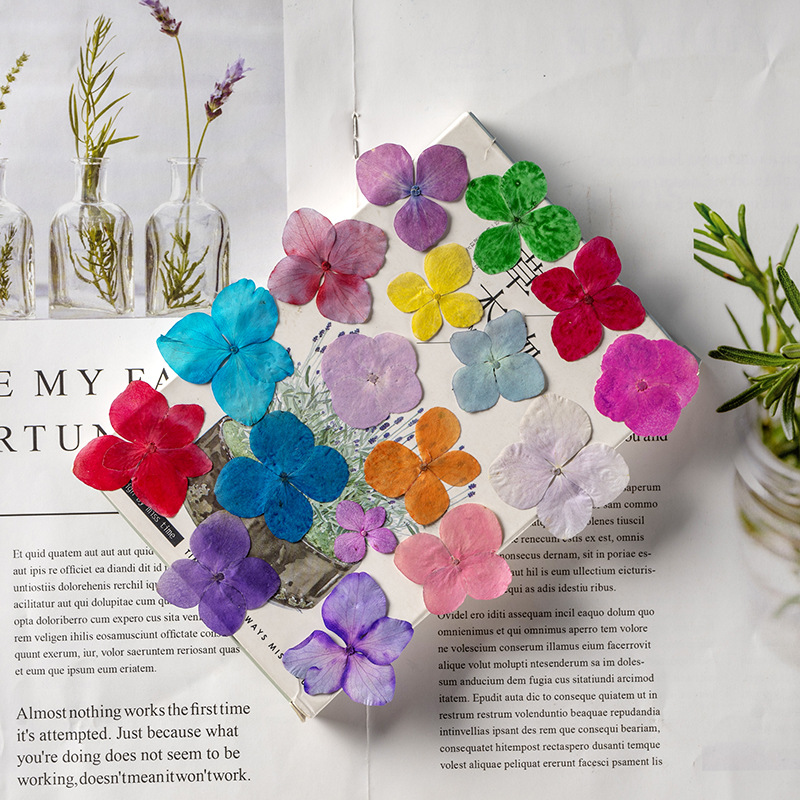 60Pcs Anna Hydrangea Color-Abs - Resin Art Bookmark ulasan dan harga