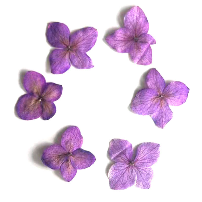 60Pcs Anna Hydrangea Color-Abs - Resin Art Bookmark ulasan dan harga