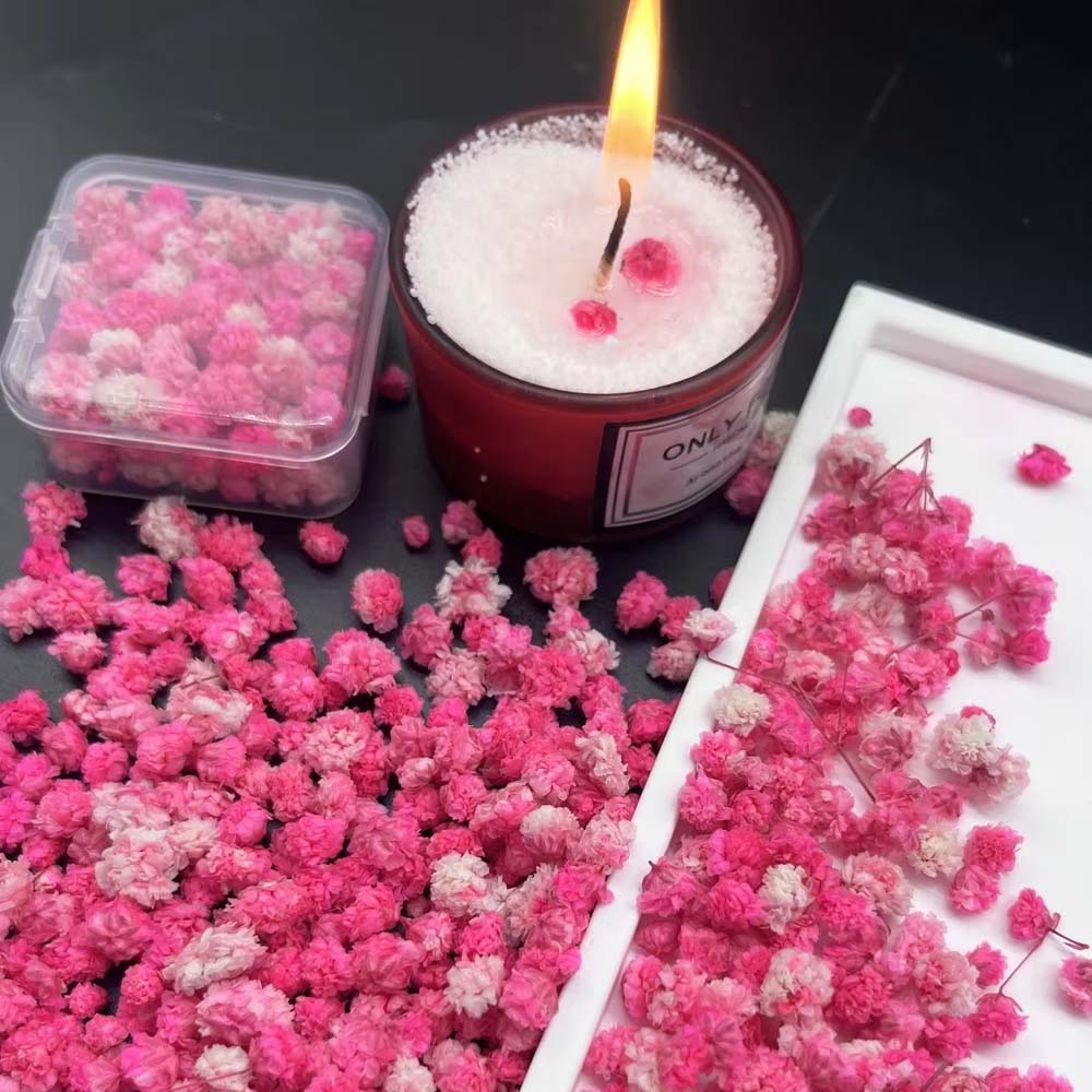 1Box Flower Mix for Crafts Can - Resin Art Earrings Design ulasan dan harga