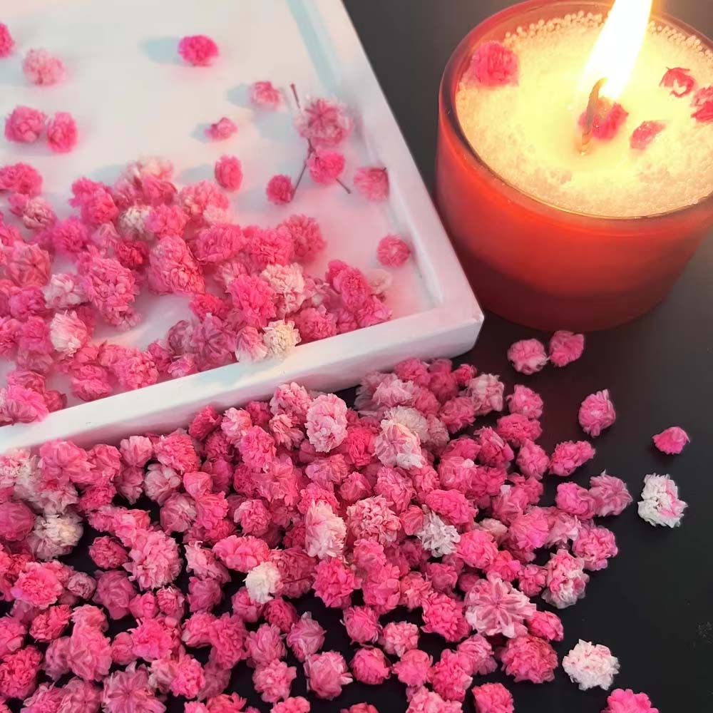 1Box Flower Mix for Crafts Can - Resin Art Earrings Design ulasan dan harga