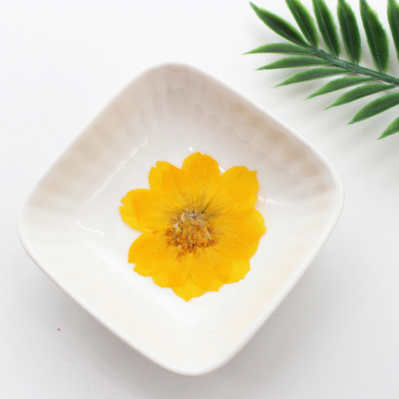 100Pcs Sulfur Chrysanthemum Pr - Resin Art Bookmark ulasan dan harga